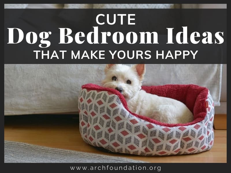 32+ Cute Dog Bedroom Ideas That Make Yours Happy 2024