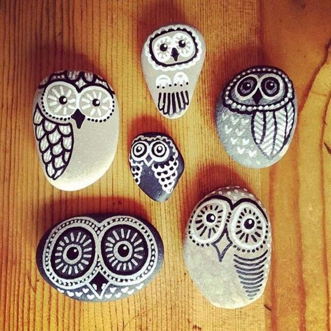 Cute Owl Rocks