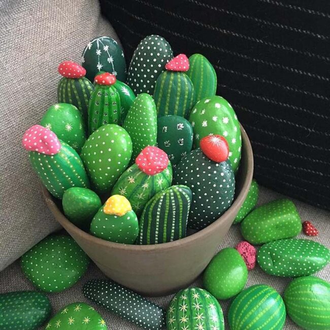 Cactus Pot Rocks