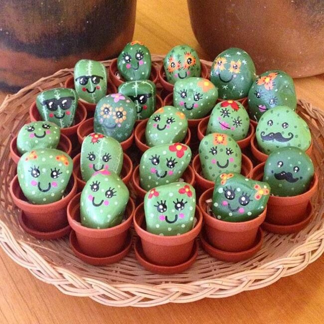 Happy Cactus Rocks