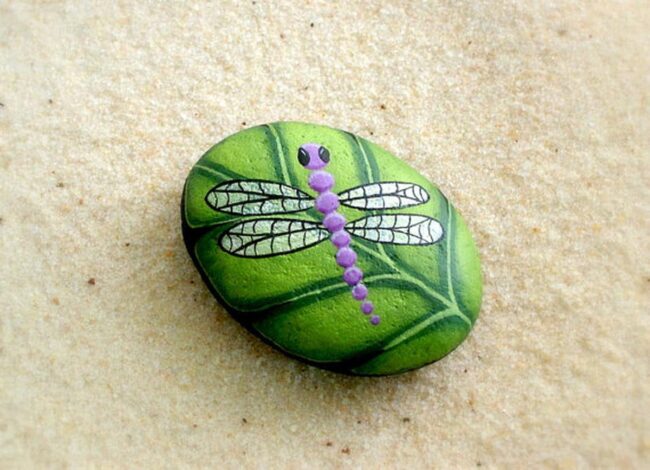 Dragonfly Painted Rock