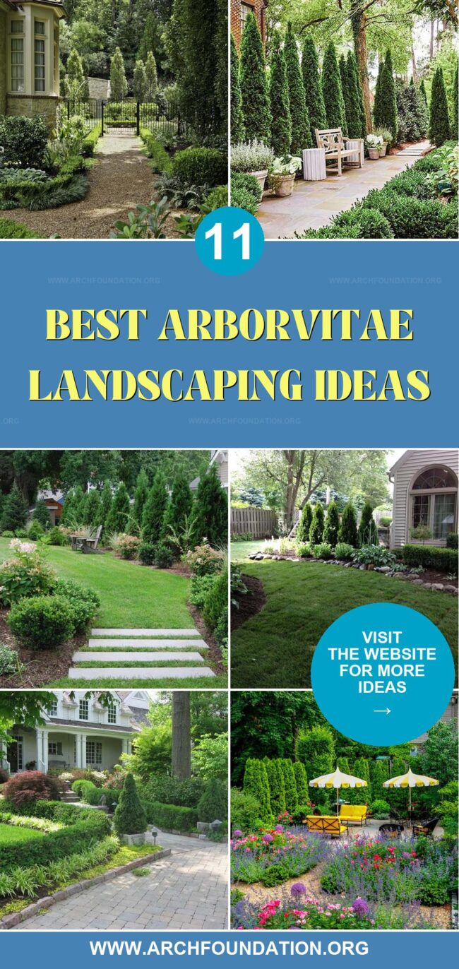 11 Arborvitae Landscaping Ideas for a Green Retreat