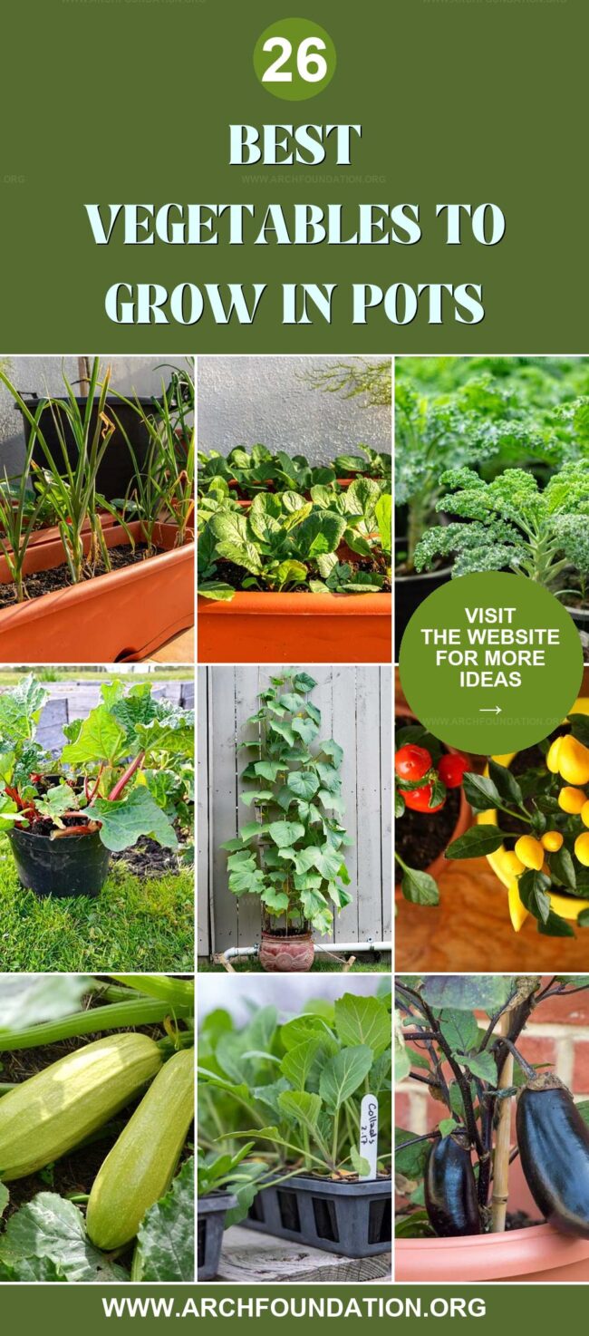 26 Best Vegetables for Growing in Pots and Containers