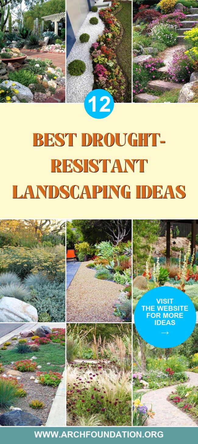 12 Top Drought-Resistant Landscaping Designs