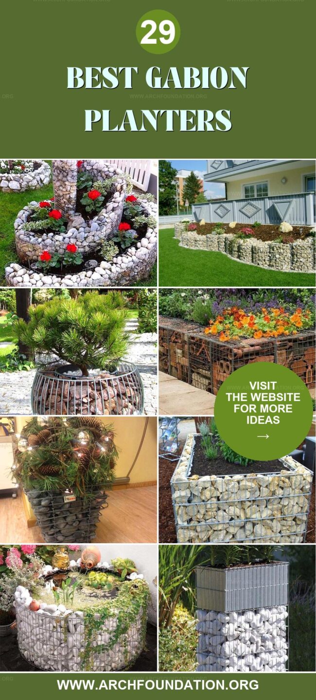 29 Best Gabion Planter Ideas for Your Garden