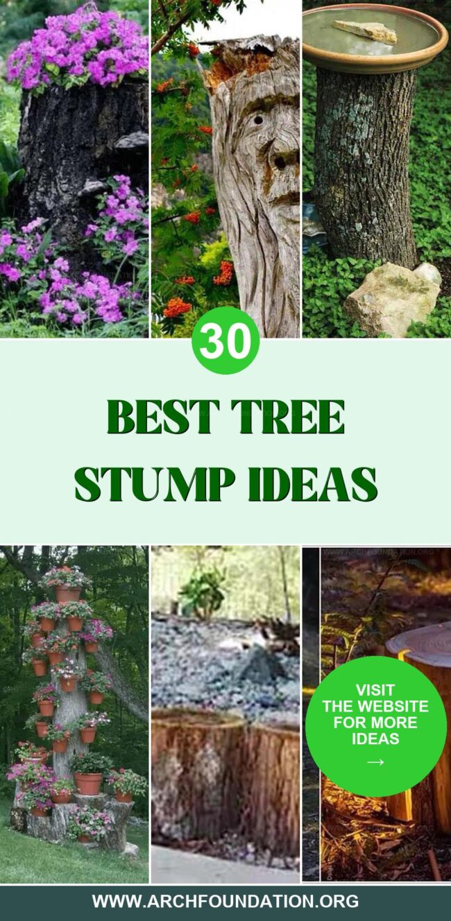 30 Innovative Tree Stump Decorations for Outdoor Spaces