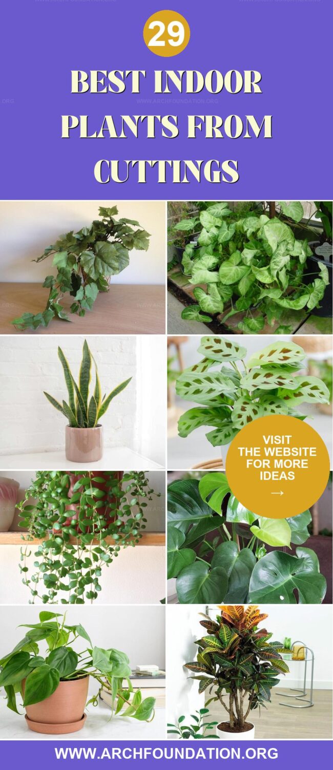 29 Stunning Indoor Plants That Grow Easily from Cuttings