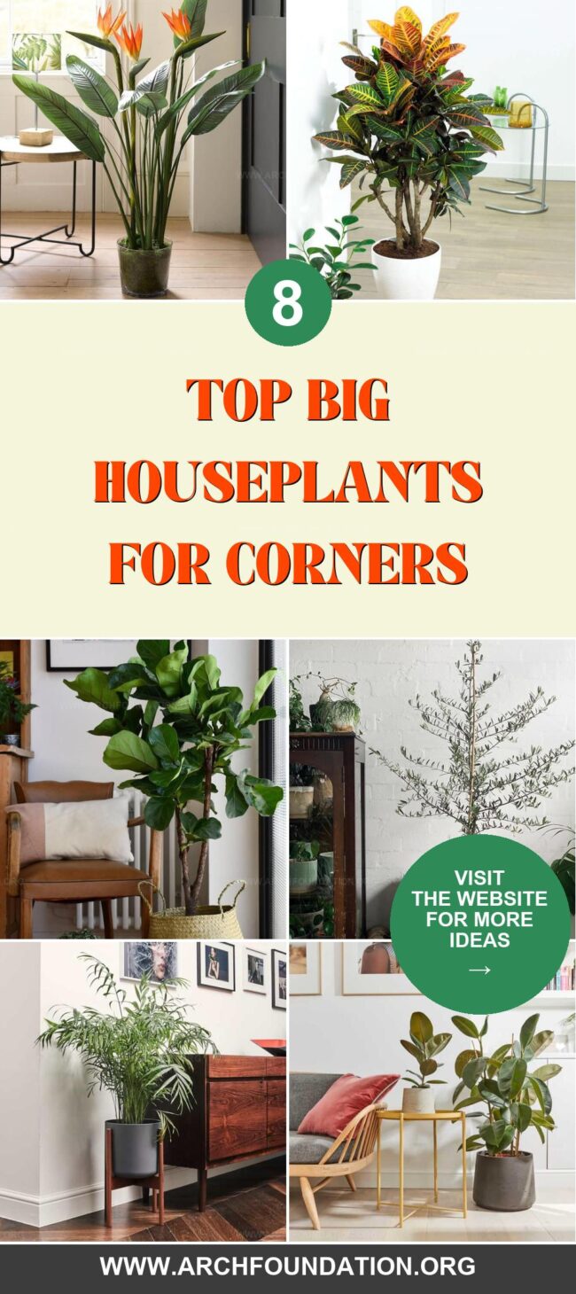 8 Beautiful Large Houseplants for Corner Spaces