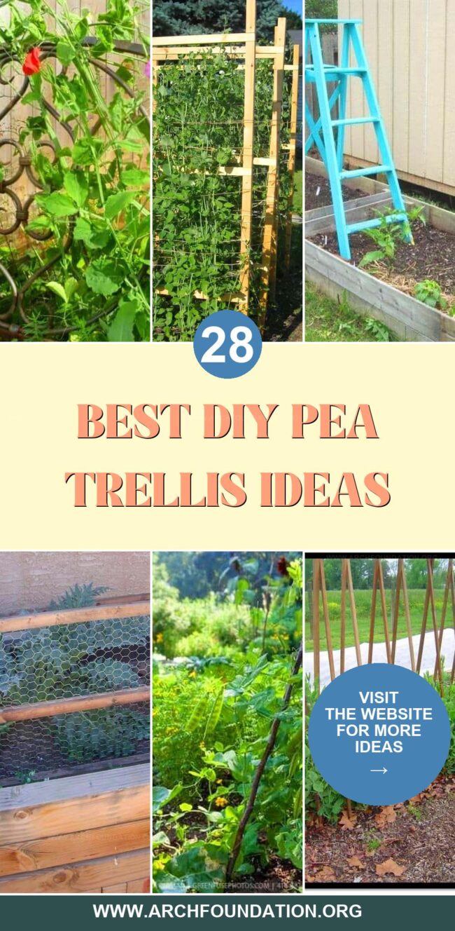 28 Easy DIY Pea Trellises for Better Harvests