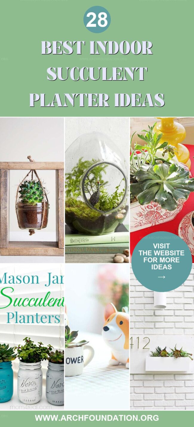 28 Gorgeous Indoor Succulent Planter Ideas