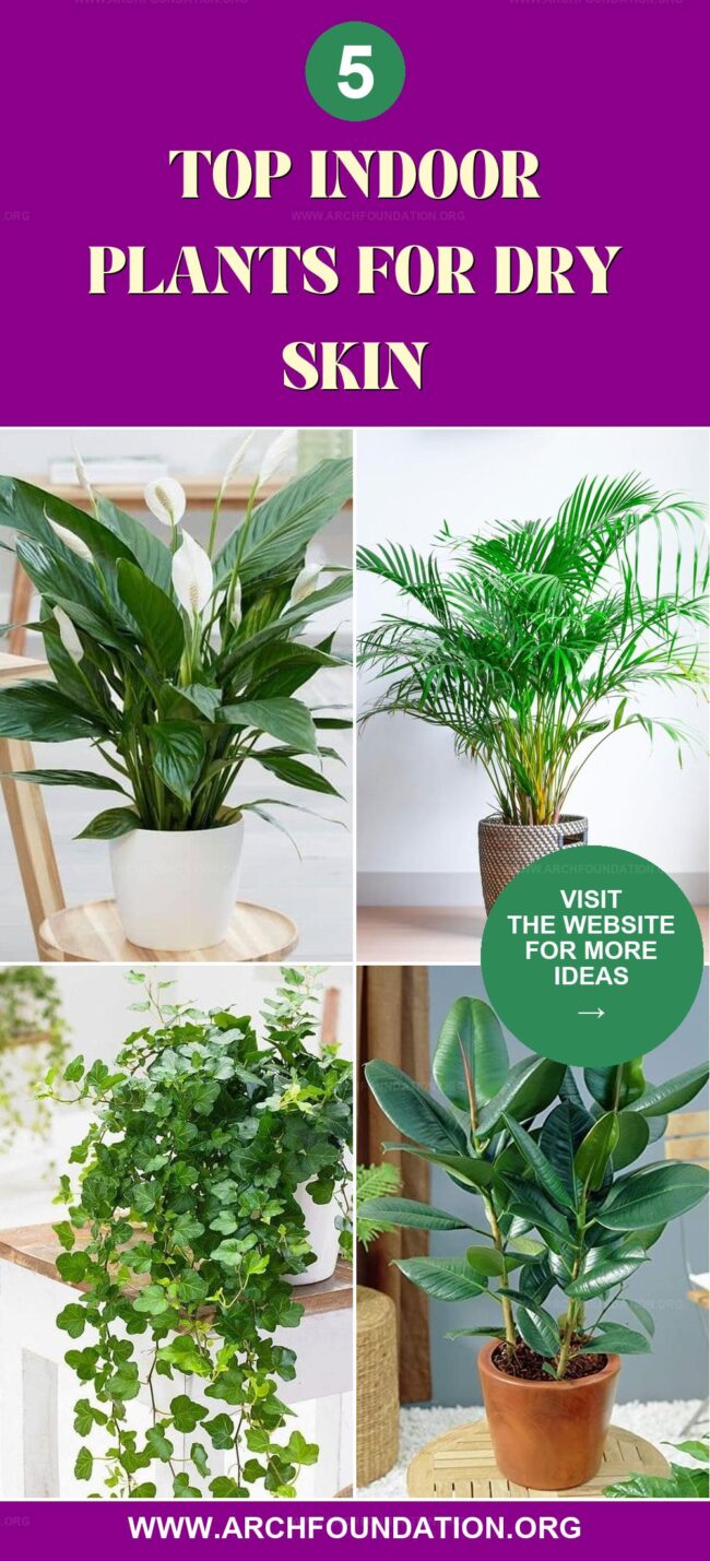 5 Best Indoor Plants for Combatting Dry Skin