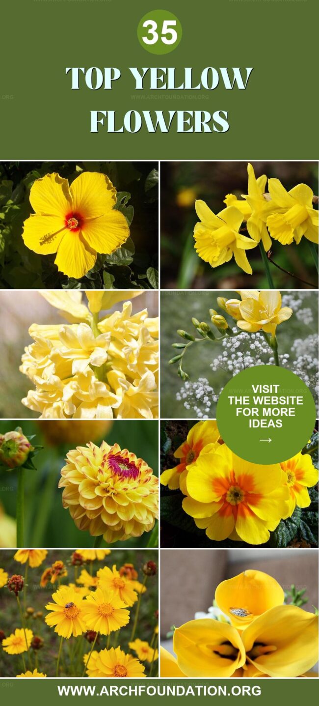 35 Lovely Yellow Flowers to Brighten Your Garden