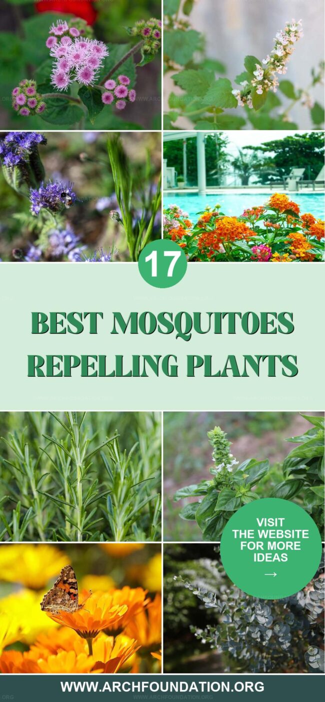 17 Top Plants to Naturally Repel Mosquitoes Outdoors