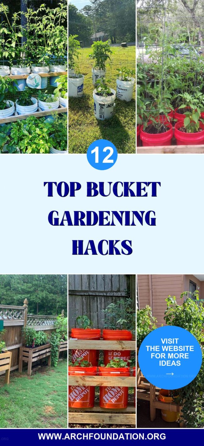 12 Innovative Bucket Gardening Ideas for City Spaces