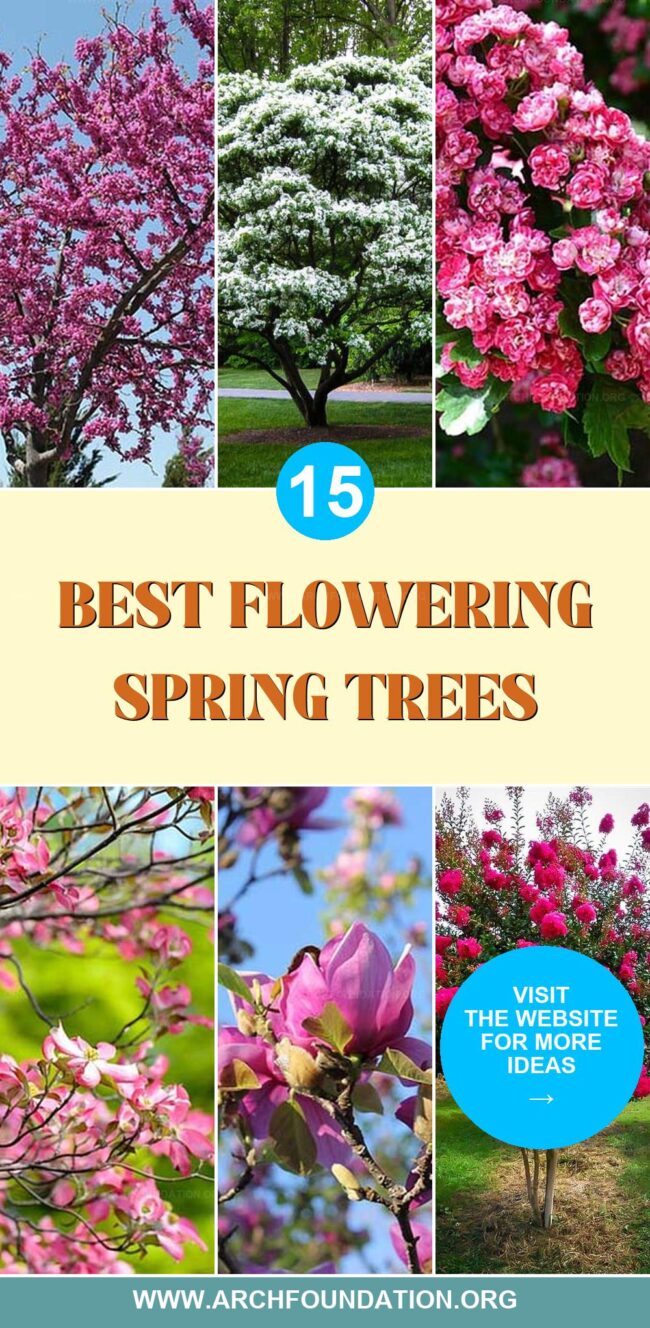 15 Amazing Flowering Spring Trees for Your Yard