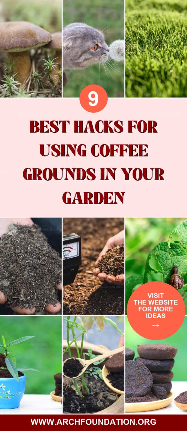 9 Easy Hacks for Using Coffee Grounds to Improve Your Garden