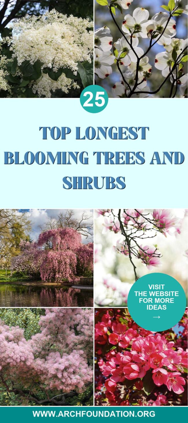 25 Long-Blooming Trees and Shrubs for Year-Round Color