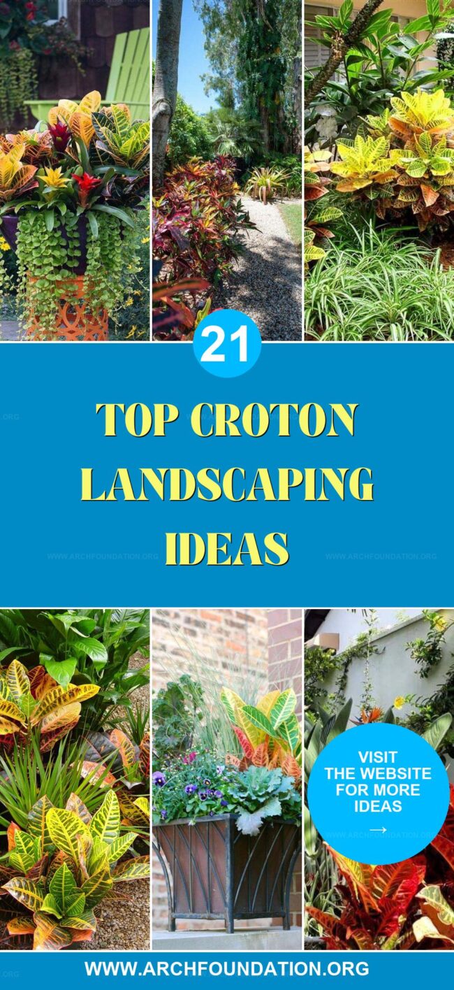 21 Dazzling Croton Landscaping Ideas for Every Garden