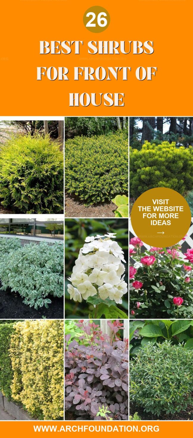 26 Best Shrubs for Front of House to Enhance Curb Appeal