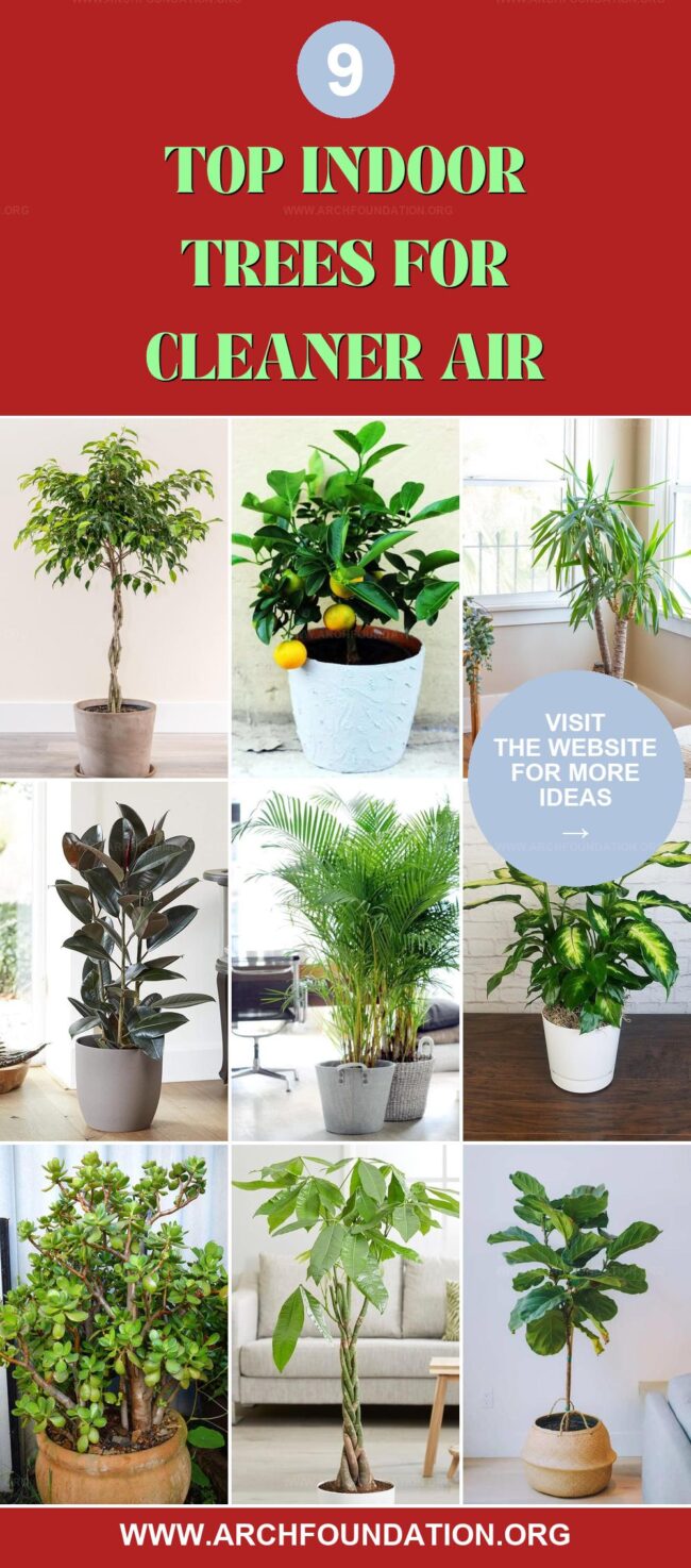 9 Best Indoor Trees for Cleaner Air at Home