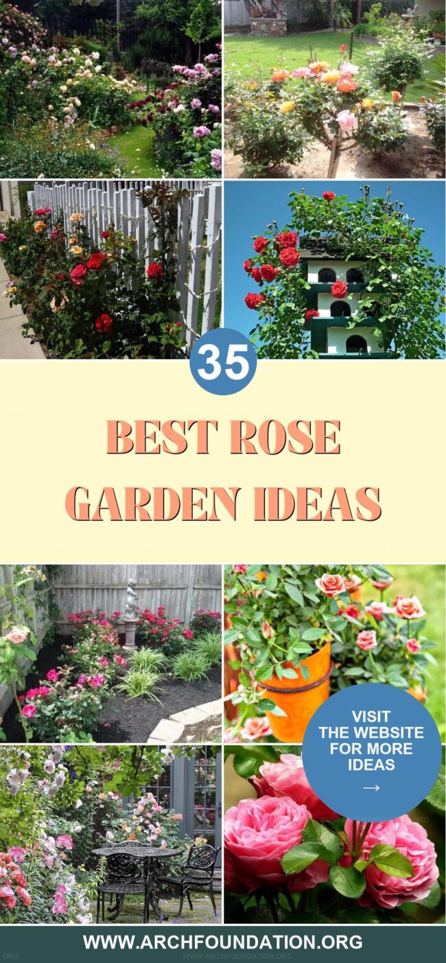 35 Inspiring Rose Garden Ideas to Bring Charm to Your Backyard