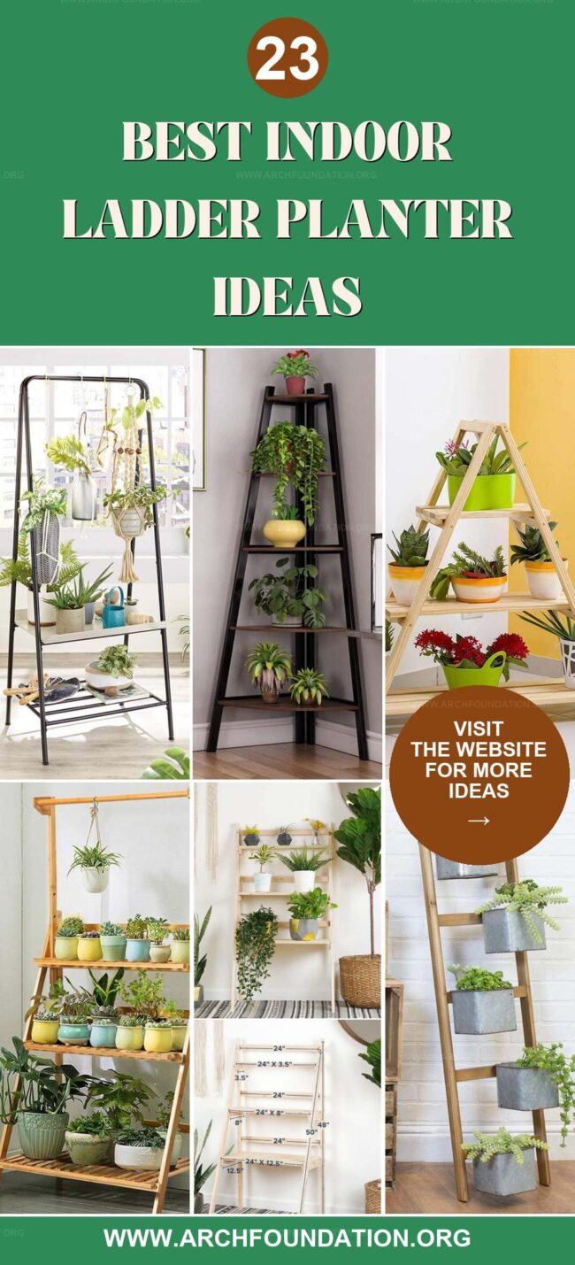 23 Creative Indoor Ladder Planters for Stylish Greenery