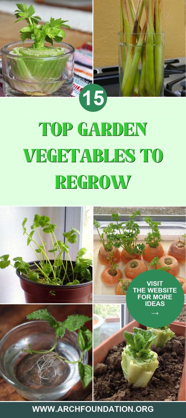 15 Garden Veggies to Grow Over and Over