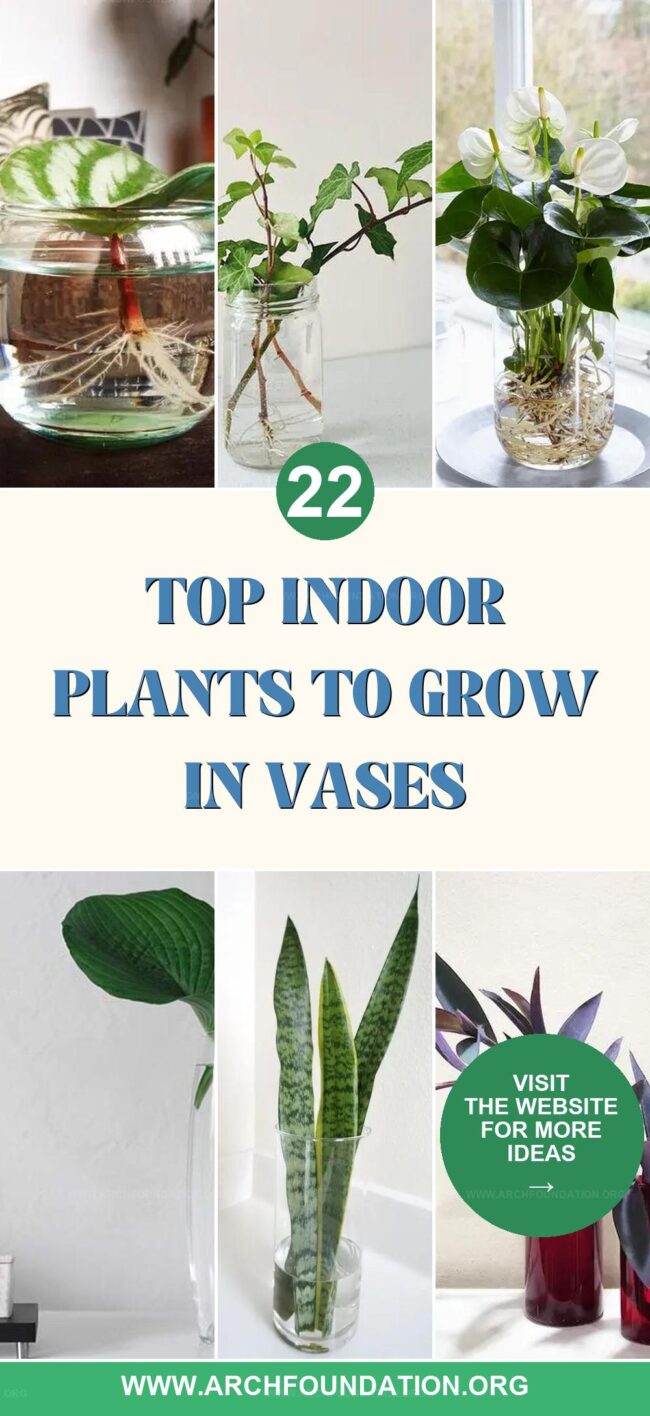 22 Top Indoor Plants Perfect for Vase Gardening