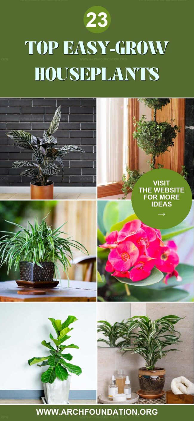 23 Easy-Grow Plants to Liven Up Your Space