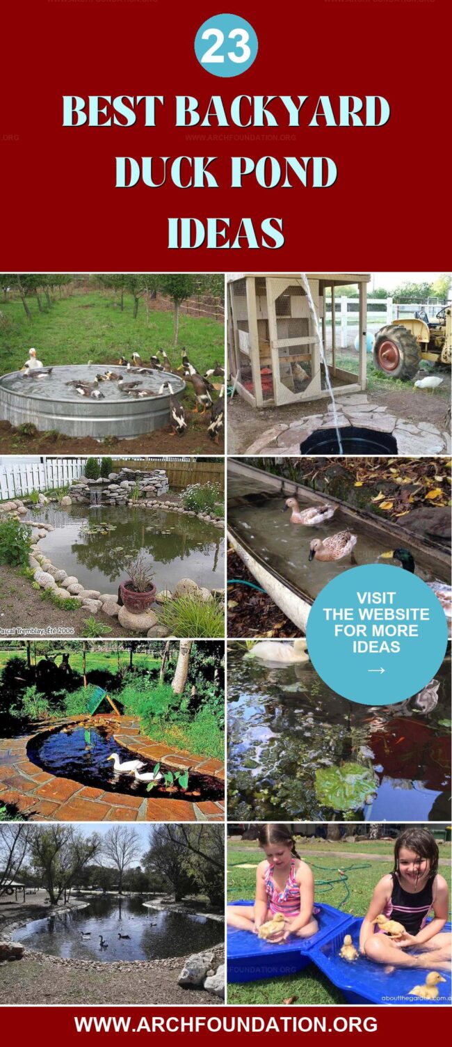 23 Charming Backyard Duck Pond Concepts