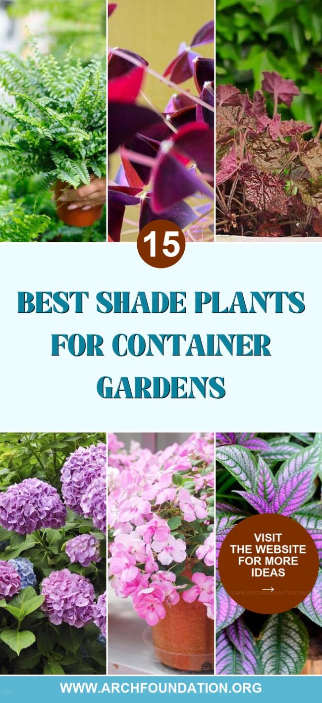 15 Best Plants for Shade Container Gardens