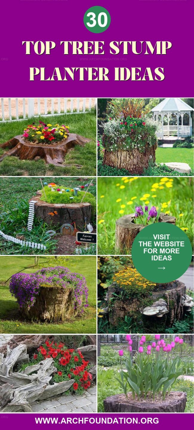 30 Creative Tree Stump Planter Ideas You'll Love