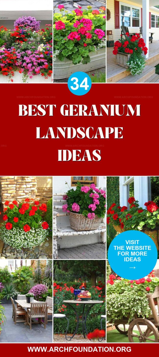 34 Inspiring Geranium Landscapes for a Flowering Garden