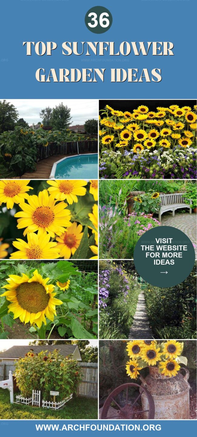 36 Sunflower Garden Ideas for Joyful Spaces