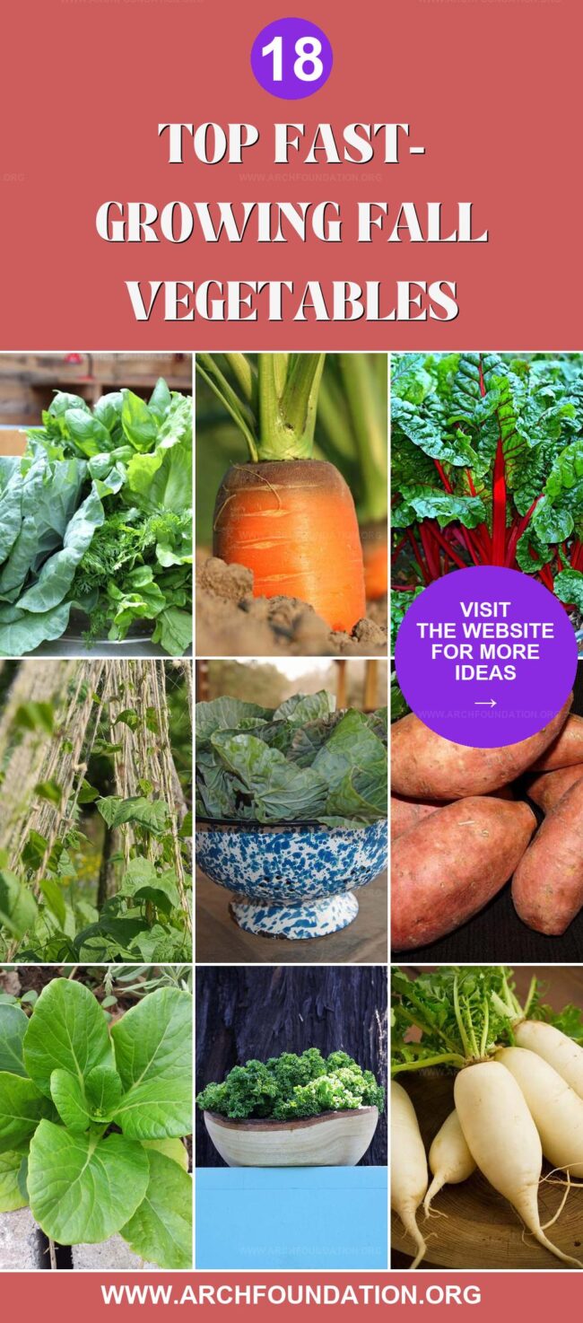 18 Fast-Growing Veggies for Your Fall Container Garden