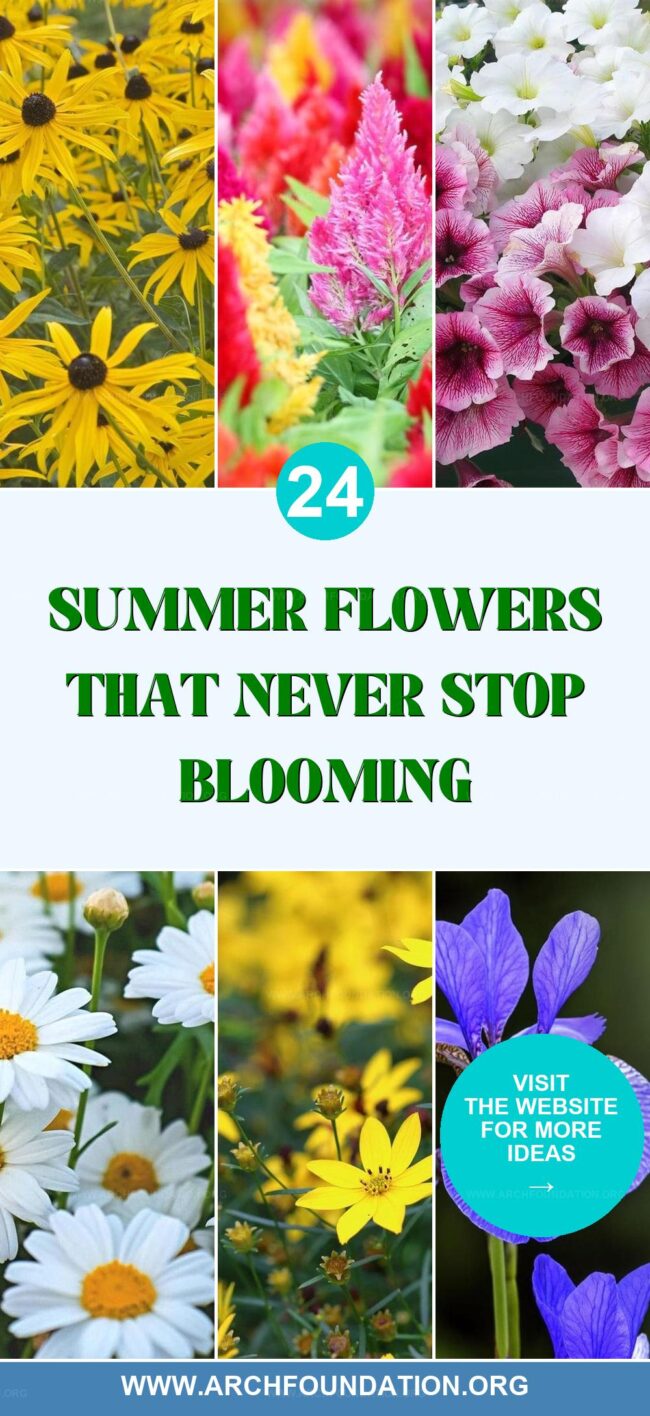 24 Summer Flowers That Keep Blooming All Season