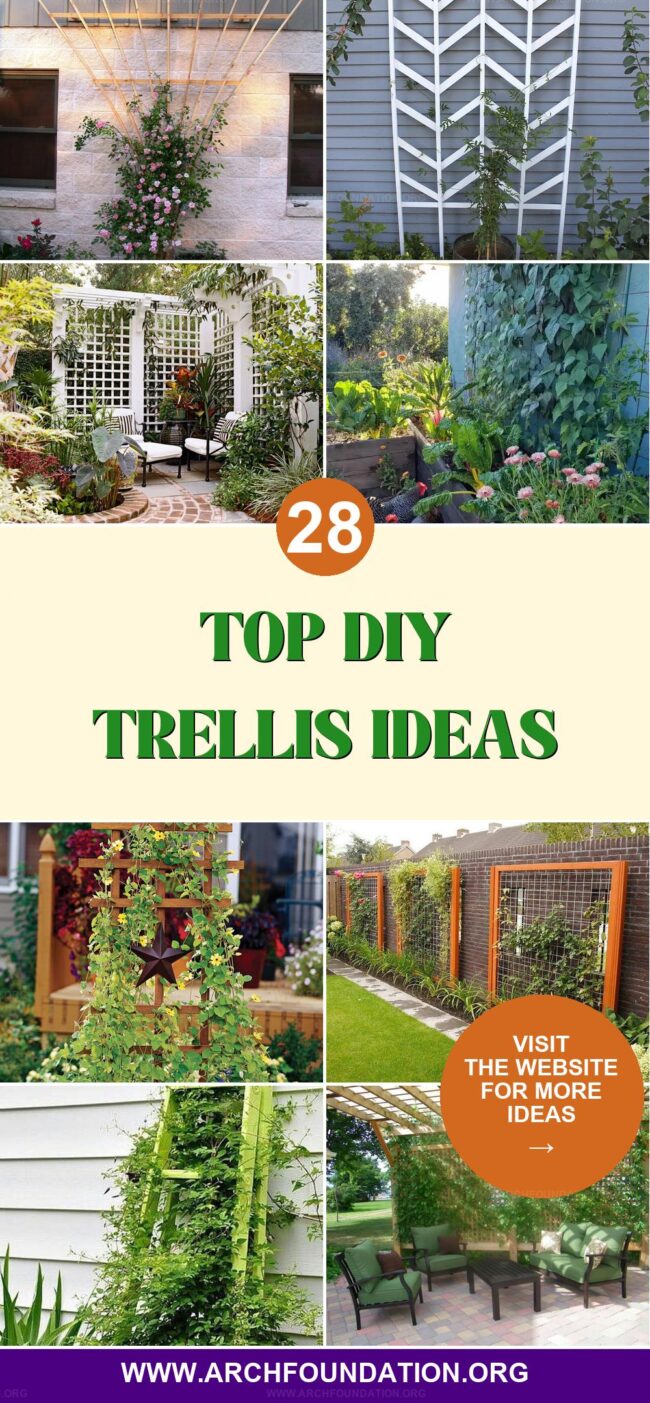 28 Inspiring DIY Trellis Ideas to Transform Your Garden