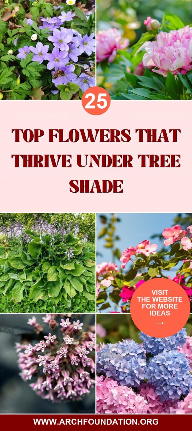 25 Best Flowers That Thrive Under Tree Shade