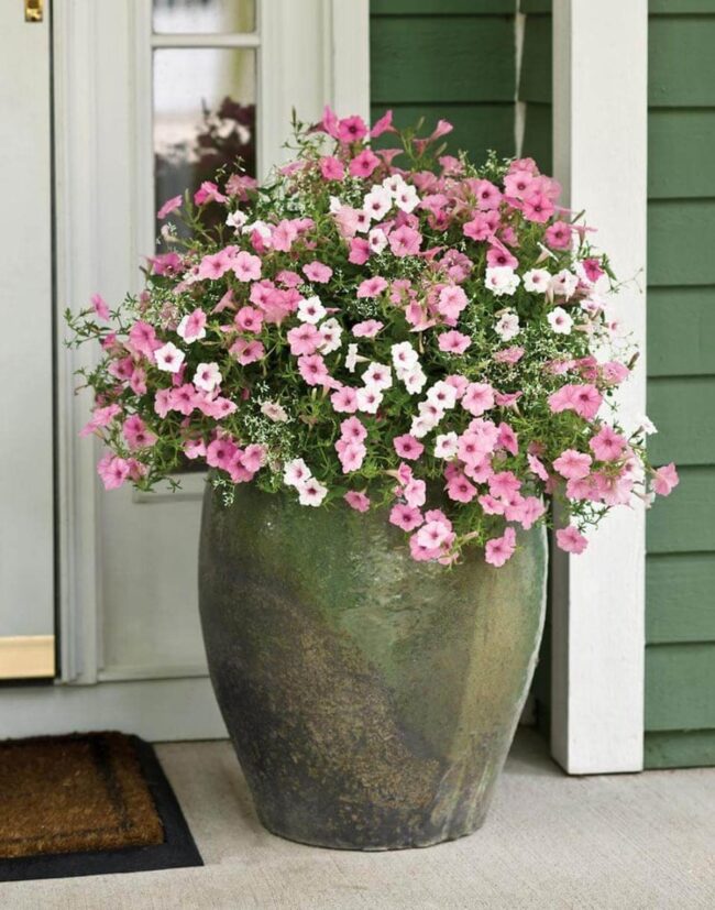 Gorgeous Flower Pot Arrangements For Your Porch