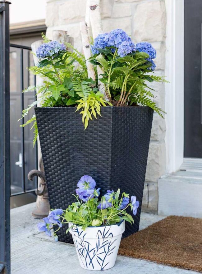 Blue and White Planters Give A Crisp and Cool Vibe