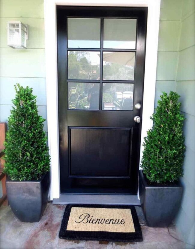 Classy Simple Porch Plants