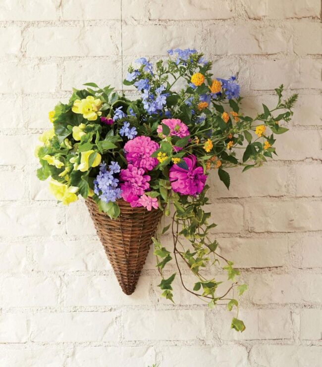 Hanging Basket with Colorful Flowers