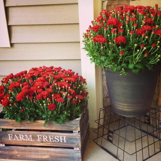 Rustic Decor with Basket and Pots