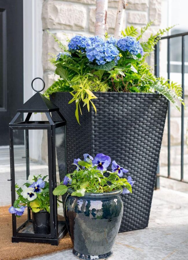 Tall Black and Blue Plant Pot Decor