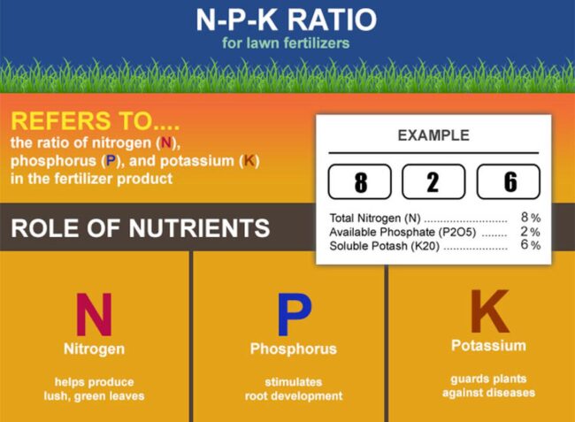 What Is the N-P-K Values in Fertilizers?