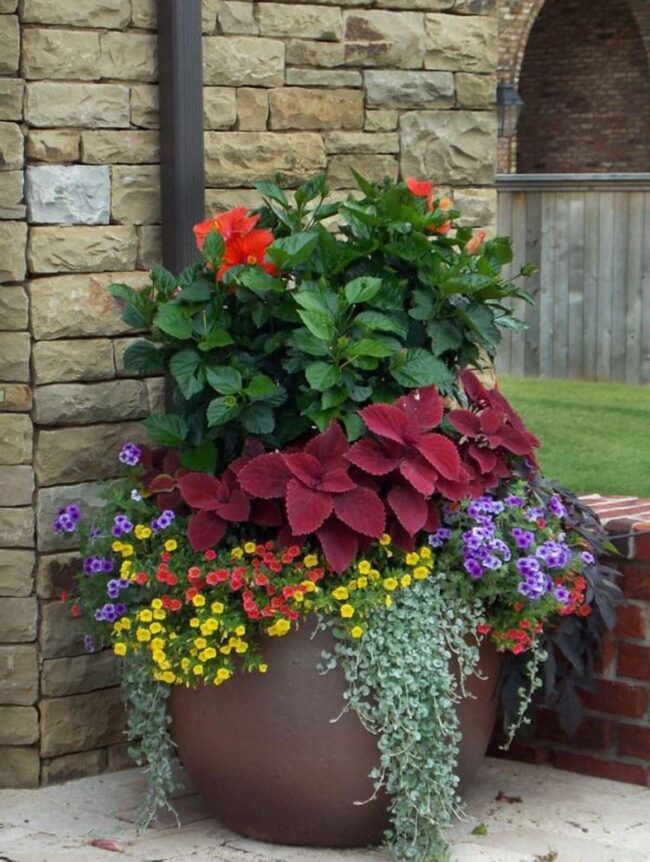 Large Plant Pots By The Entrance