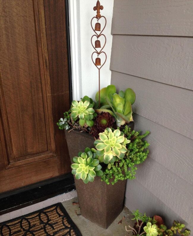 Add Succulents To Your Front Door