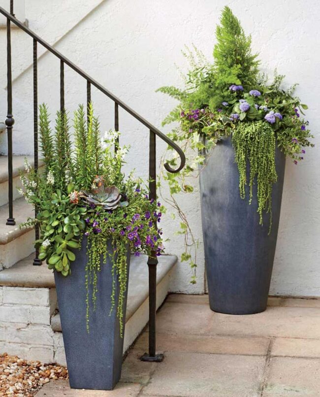 Tall Planters That Make A Statement