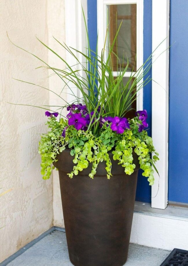 Large Porch Planter