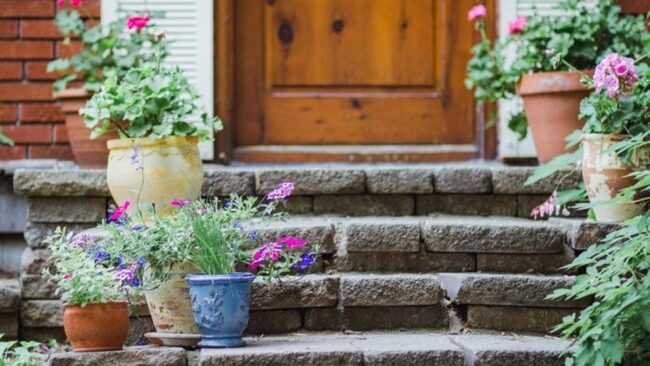 Step Up Your Curb Appeal with Small Round Pots